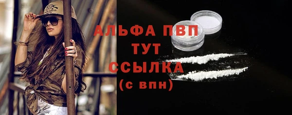 стаф Дмитров