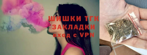 стаф Дмитров