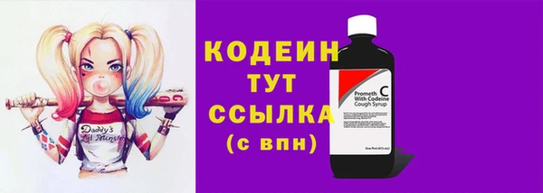 стаф Дмитров