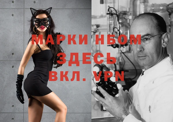 экстази Дмитриев