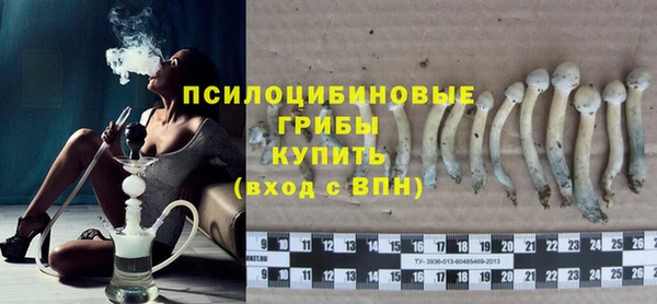 экстази Дмитриев