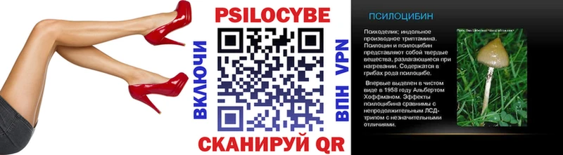 Галлюциногенные грибы Cubensis  Купить закладки  Камбарка 